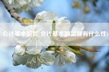 会计基本职能(会计基本的监督有什么性)