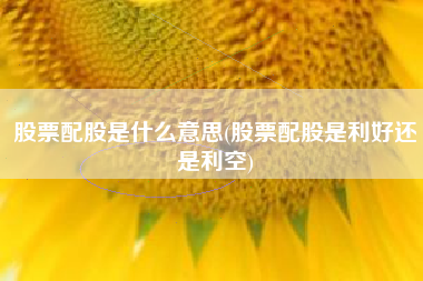 股票配股是什么意思(股票配股是利好还是利空)