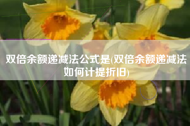 双倍余额递减法公式是(双倍余额递减法如何计提折旧)