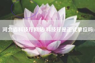河北省科技厅网站(科技厅是正式单位吗)