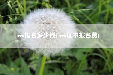acca报名多少钱(acca证书报名费)