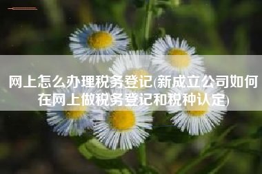 网上怎么办理税务登记(新成立公司如何在网上做税务登记和税种认定)