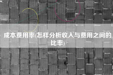 成本费用率(怎样分析收入与费用之间的比率)