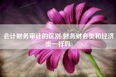 会计财务审计的区别(财务财会类和经济类一样吗)