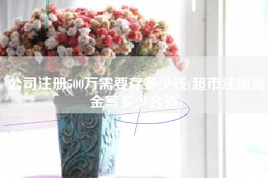 公司注册500万需要存多少钱(超市注册资金写多少合适)