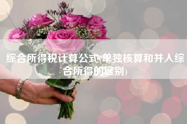 综合所得税计算公式(单独核算和并入综合所得的区别)