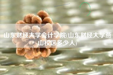 山东财经大学会计学院(山东财经大学燕山校区多少人)