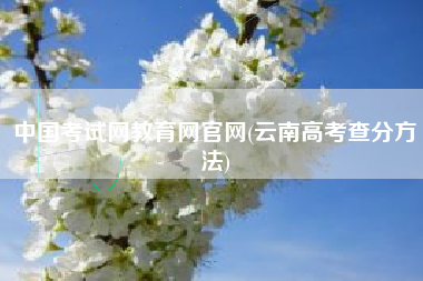 中国考试网教育网官网(云南高考查分方法)