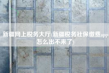 新疆网上税务大厅(新疆税务社保缴费app怎么出不来了)