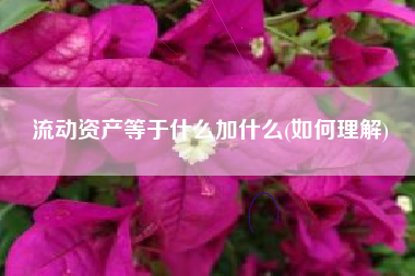 流动资产等于什么加什么(如何理解)