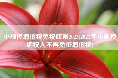 小规模增值税免税政策2023(2023年小规模纳税人不再免征增值税)