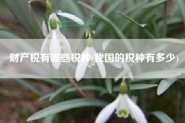 财产税有哪些税种(我国的税种有多少)