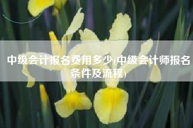 中级会计报名费用多少(中级会计师报名条件及流程)