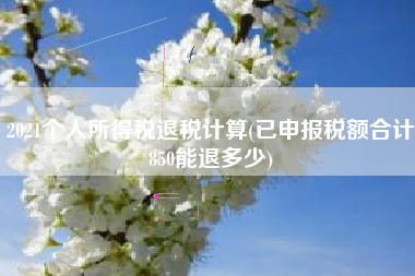 2021个人所得税退税计算(已申报税额合计850能退多少)