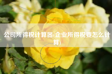 公司所得税计算器(企业所得税要怎么计算)