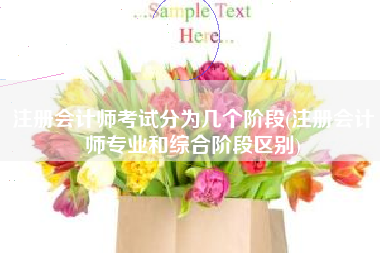 详细阅读:注册会计师考试分为几个阶段(注册会计师专业和综合阶段区别) 注册会计师考试分为几个阶段(注册会计师专业和综合阶段区别)