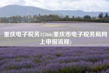 重庆电子税务12366(重庆市电子税务局网上申报流程)