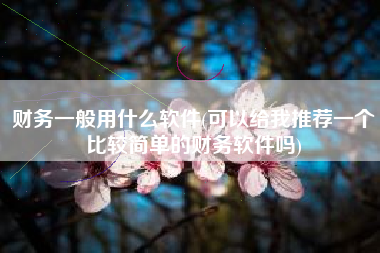 财务一般用什么软件(可以给我推荐一个比较简单的财务软件吗)