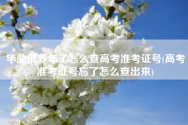 毕业很多年了怎么查高考准考证号(高考准考证号忘了怎么查出来)