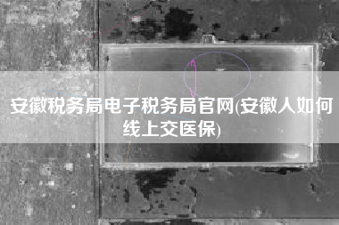 安徽税务局电子税务局官网(安徽人如何线上交医保)