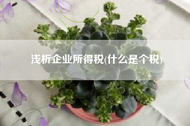 浅析企业所得税(什么是个税)