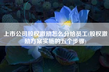 详细阅读:上市公司股权激励怎么分给员工(股权激励方案实施的五个步骤) 上市公司股权激励怎么分给员工(股权激励方案实施的五个步骤)