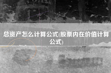 总资产怎么计算公式(股票内在价值计算公式)