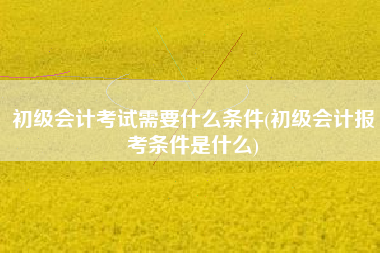 详细阅读:初级会计考试需要什么条件(初级会计报考条件是什么) 初级会计考试需要什么条件(初级会计报考条件是什么)