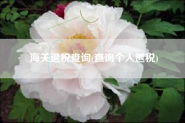海关退税查询(查询个人退税)