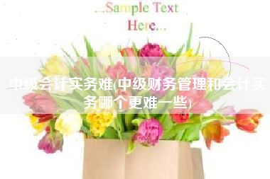 中级会计实务难(中级财务管理和会计实务哪个更难一些)