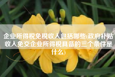 企业所得税免税收入包括哪些(政府补贴收入免交企业所得税具备的三个条件是什么)