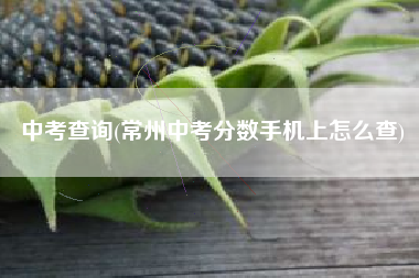 中考查询(常州中考分数手机上怎么查)