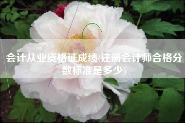 会计从业资格证成绩(注册会计师合格分数标准是多少)