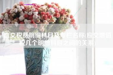 应交税费明细科目及专栏名称(应交增值税几个明细科目之间的关系)