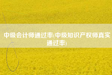 中级会计师通过率(中级知识产权师真实通过率)