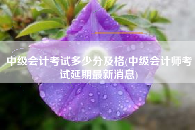 中级会计考试多少分及格(中级会计师考试延期最新消息)