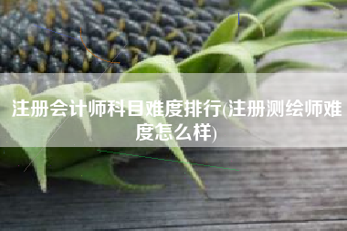 注册会计师科目难度排行(注册测绘师难度怎么样)