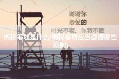 纳税筹划是什么(纳税筹划应当遵循哪些原则)