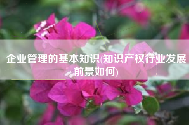 企业管理的基本知识(知识产权行业发展前景如何)