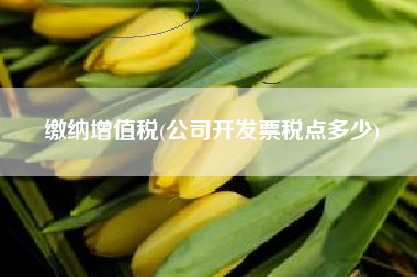 缴纳增值税(公司开发票税点多少)