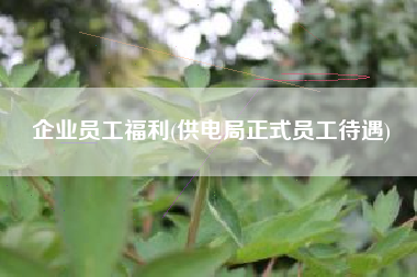 企业员工福利(供电局正式员工待遇)