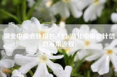 湖北中级会计报名入口(湖北中级会计信息采集流程)