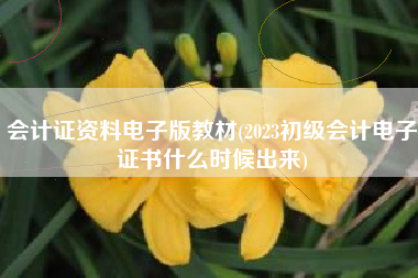 会计证资料电子版教材(2023初级会计电子证书什么时候出来)