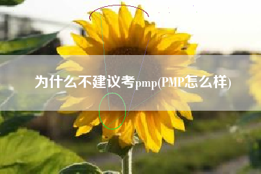 为什么不建议考pmp(PMP怎么样)