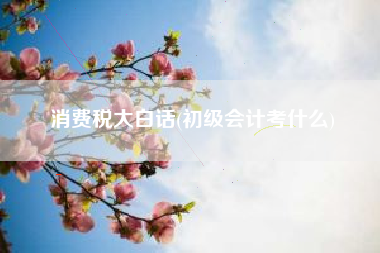 消费税大白话(初级会计考什么)