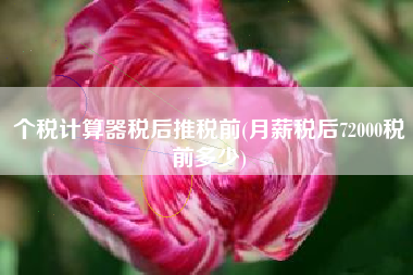 个税计算器税后推税前(月薪税后72000税前多少)