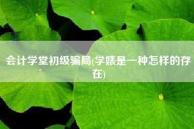 会计学堂初级骗局(学婊是一种怎样的存在)