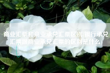 商业汇票和商业承兑汇票区别(银行承兑汇票跟商业承兑汇票的区别是什么)