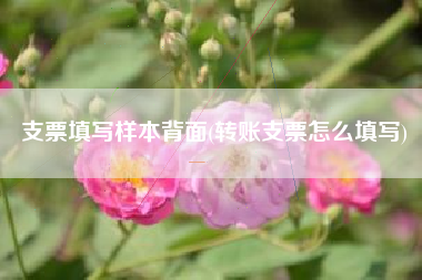 支票填写样本背面(转账支票怎么填写)