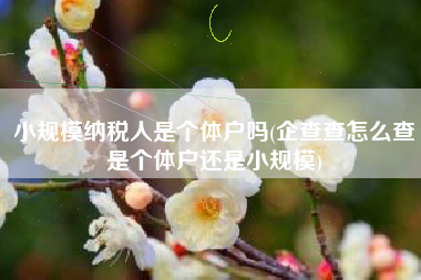 小规模纳税人是个体户吗(企查查怎么查是个体户还是小规模)